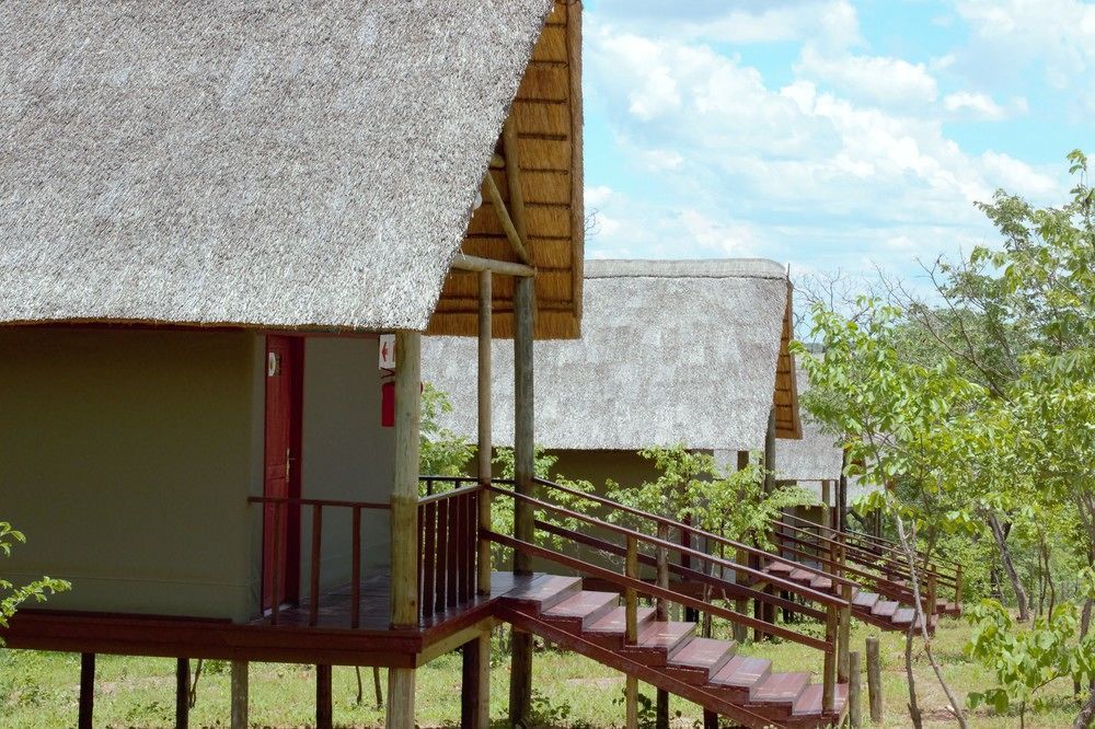 Lion Roars Lodge Lesoma Exterior foto