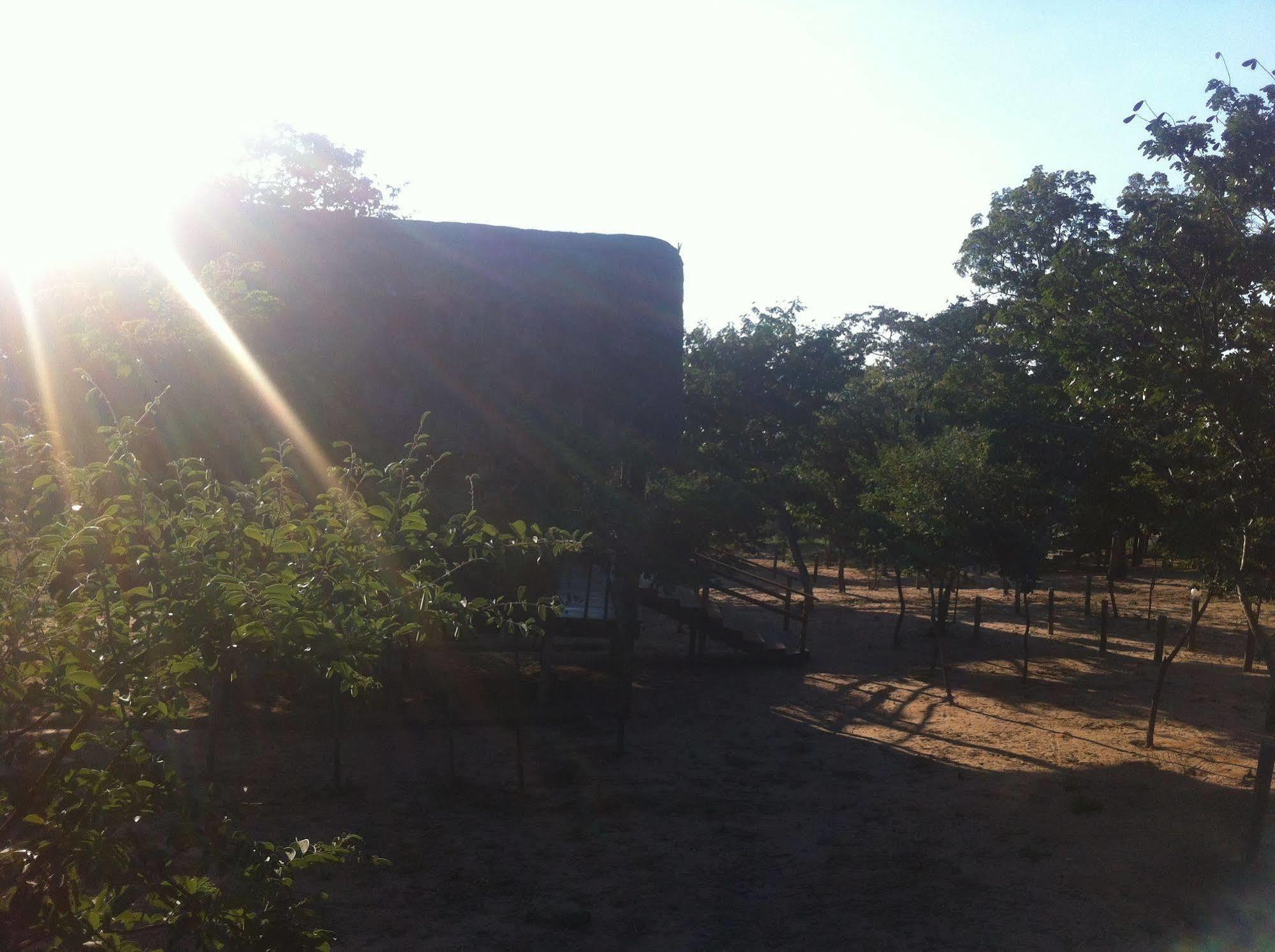 Lion Roars Lodge Lesoma Exterior foto